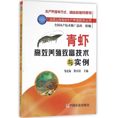 青虾养殖致富技术与实例 邹宏海 河虾淡水虾人工繁育技术大全青虾疾病防治 青虾养殖一本通大虾青虾养殖书籍
