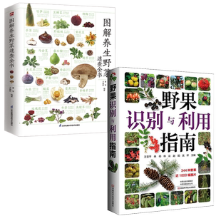 野果指南 野果识别与利用指南+图解养生野菜速查全书全2册 常见野果名称品种识别要点分布与生境食用部位与食用方法食疗保健与药用
