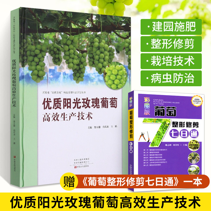 优质阳光玫瑰葡萄高效生产技术+彩图版葡萄整形修剪七日通 全2册葡萄优质生产管理技术葡萄生产现状发展趋势阳光玫瑰葡萄品种特点