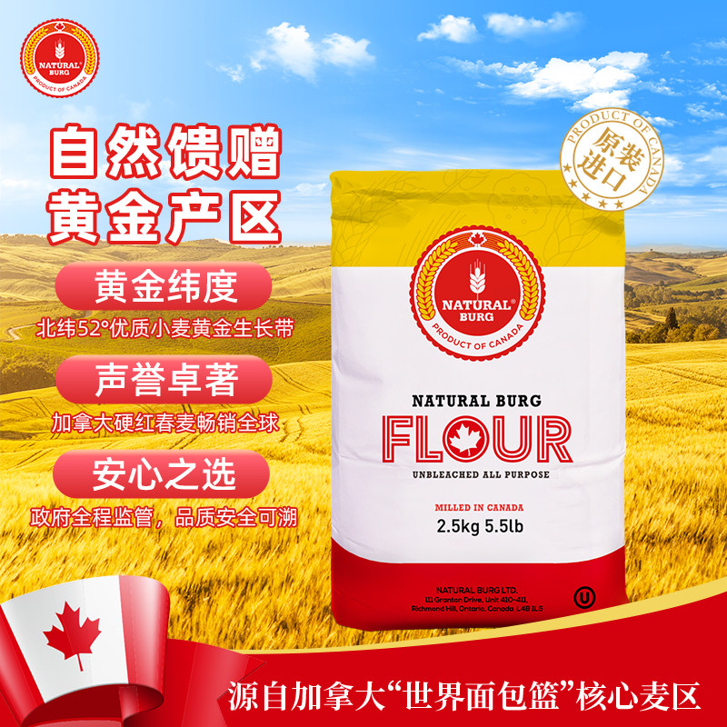 圣地博格高筋粉家用面粉烘焙小麦粉2.5kg饺子加拿大进口