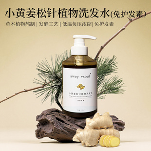 熬制生姜松针植物洗发水去油蓬松无硫酸盐洗发液孕妇无硅油孕妇男