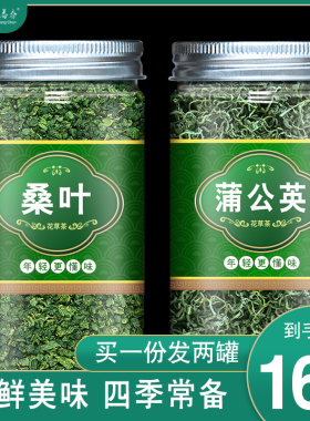 蒲公英桑叶茶。白古丁白谷丁桑叶茶古古丁干桑和谷谷丁黄花苗组合