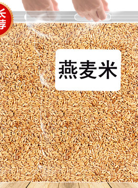 内蒙燕麦米新米5斤燕麦仁农家自裸全胚芽燕麦粒五谷杂粮粗粮米饭