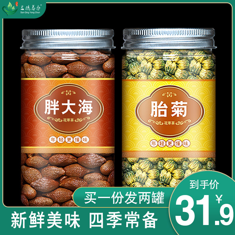 胖大海菊花茶非清肺润喉茶肥大海泡水包邮庞大海泡大海教师茶罐装