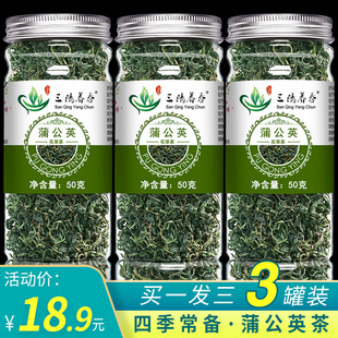 蒲公英干 功效葡公英茶薄公英茶非野生天然婆婆丁 泡水喝蒲公英