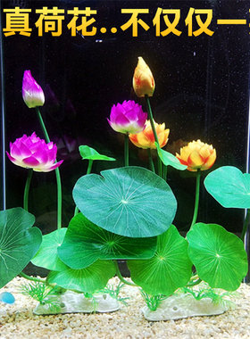 鱼缸里的装饰品植物防真仿真莲花