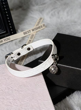 金属铃铛吊坠颈圈情趣颈链配饰