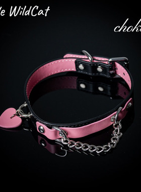 项圈皮质M朋克锁骨链puppy颈带