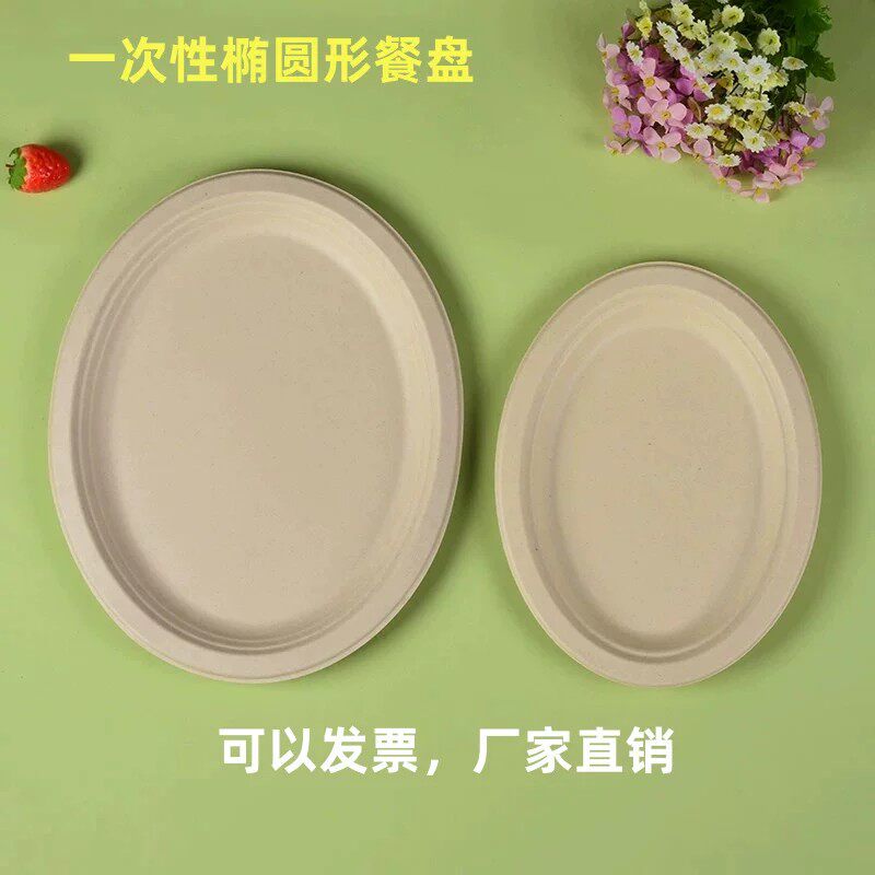一次性加厚餐盘自助盘可降解