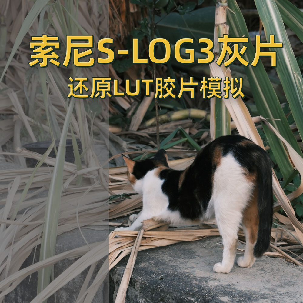 索尼SLOG3灰片专用还原LUT包富士胶片模拟LUT预设