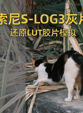 索尼SLOG3灰片专用还原LUT包富士胶片模拟LUT预设