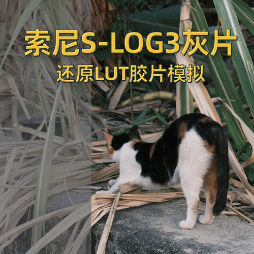 索尼SLOG3灰片专用还原LUT包富士胶片模拟LUT预设