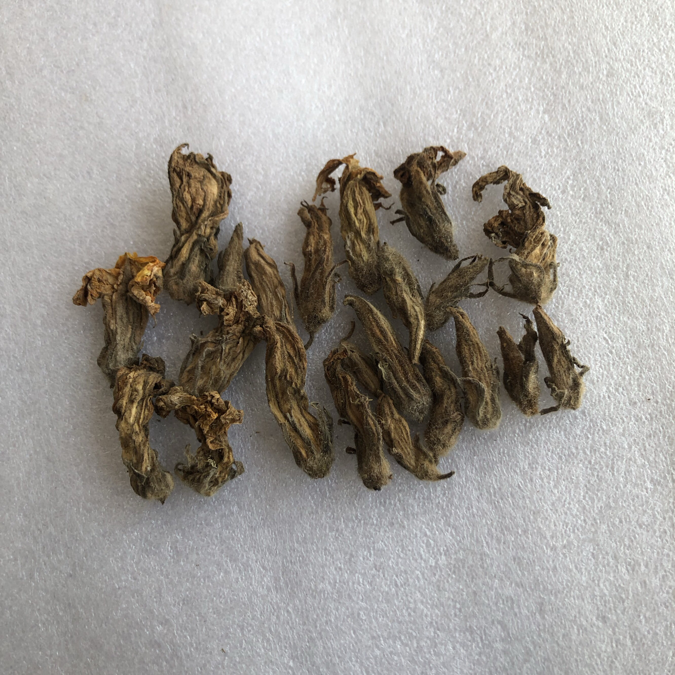 干货新鲜南瓜花朵花苞花包一枝发货实拍50克干品包邮泡茶无硫晒干,传统滋补营养品,其他药食同源食品,淘宝优惠券,粉丝福利购,淘宝优惠卷