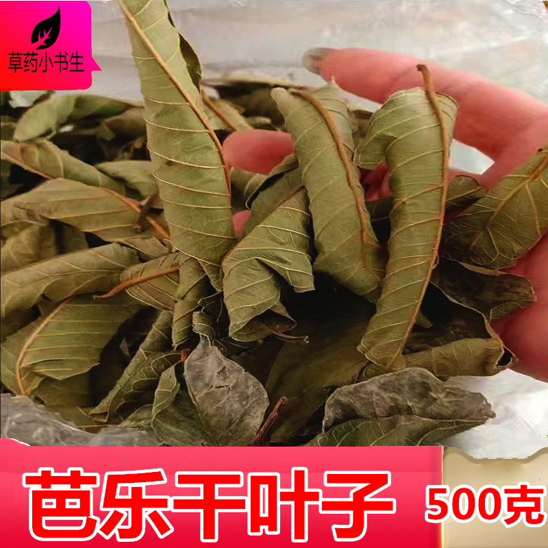 食用农产品心番石榴叶子芭乐叶茶乐叶子一斤包邮番石榴树叶片泡茶