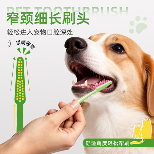 窄颈细长刷丝宠物牙刷洁牙神器