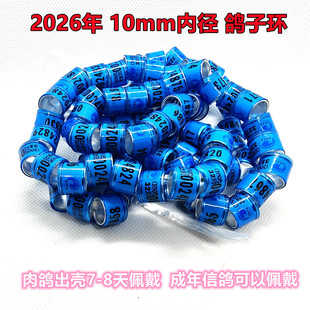 2026年肉鸽脚环观赏鸽足环10毫米大内径成年信鸽鸽环元宝鸽子环