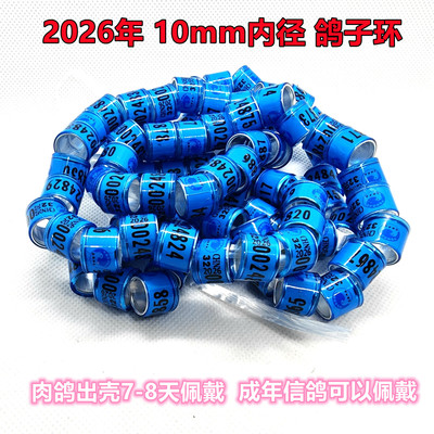 成年信鸽足环10mm大内径鸽子环