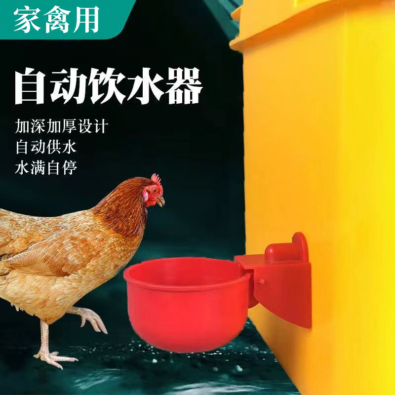 鸡饮水器鸭子自动水碗水满自停碗