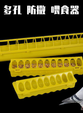 鸽子食槽防撒食盒带盖款式小芦丁鸡饲料喂食器信鸽粮料槽鸽子用具