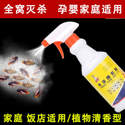 蟑螂喷射神器治一次净樟大小通杀卵喷雾灭障螂榔药家用喷剂
