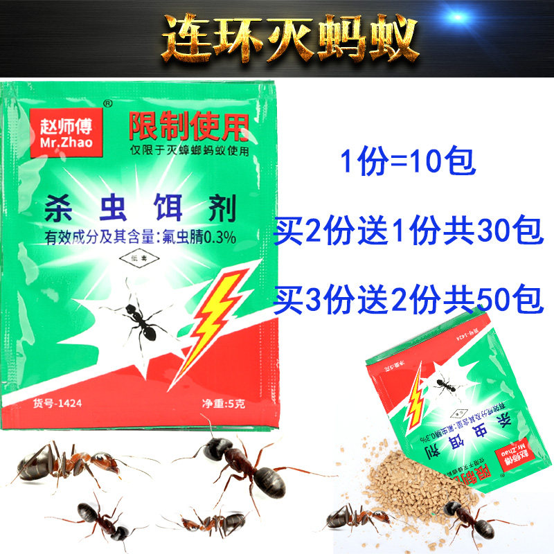 家用黑蚁赵师傅粉末蚂蚁