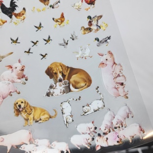 狗狗猫猫家禽小鸡小鸭猪模切pet农村院里动物造景手帐贴纸装饰贴