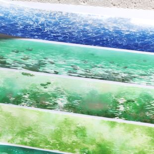 分装银辉跃波鱼戏清涟清泓见石浅碧映澜翠泽影水面造景手帐胶带