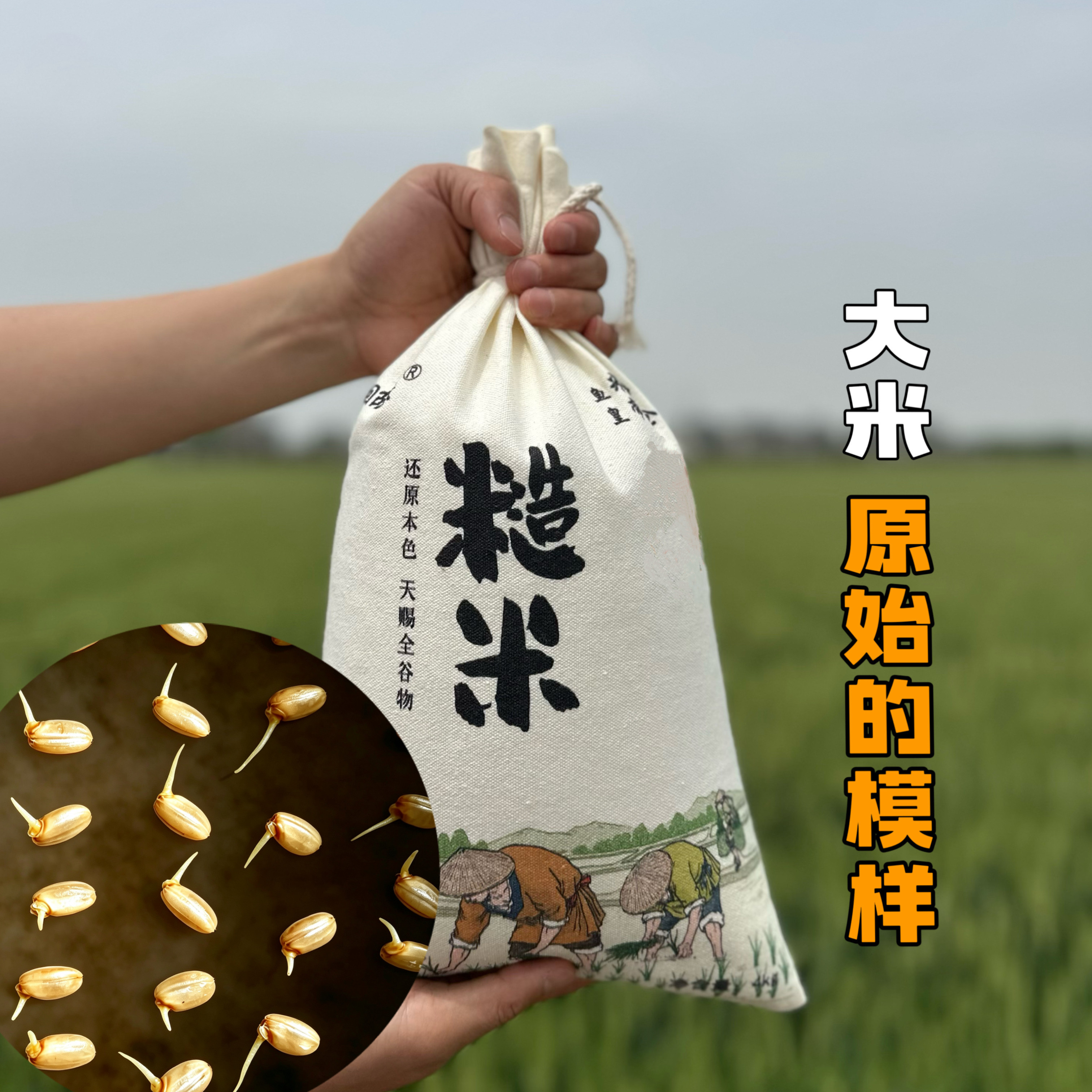 糙米 可发芽 全谷物大米 粗粮 健身代餐 五谷杂粮8斤
