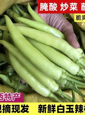 白玉辣椒新鲜大个广西现摘特辣中辣泡椒非小米椒七彩椒整箱包邮