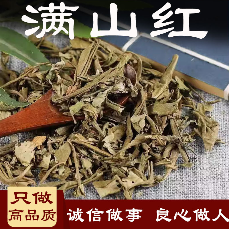 满山红中药材香金达东北