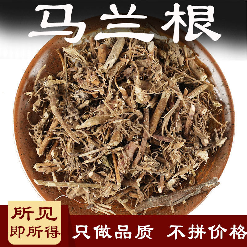 马兰根中药材马兰草路边菊蟛蜞鱼鳅串马兰头根500克马蔺根白马兰