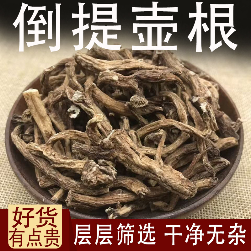 倒提壶根中药材倒提壶 倒提壶根干 飞扬草 白金风 飞燕草图片
