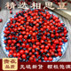 相思豆中药材500克黑头小鸡孔雀豆美人豆红珠木八重珊瑚相思鸳豆