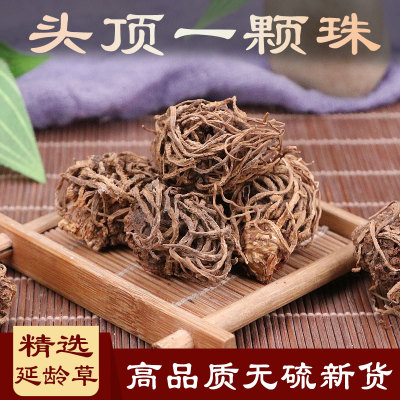 头顶中国大陆中药材雾之兰