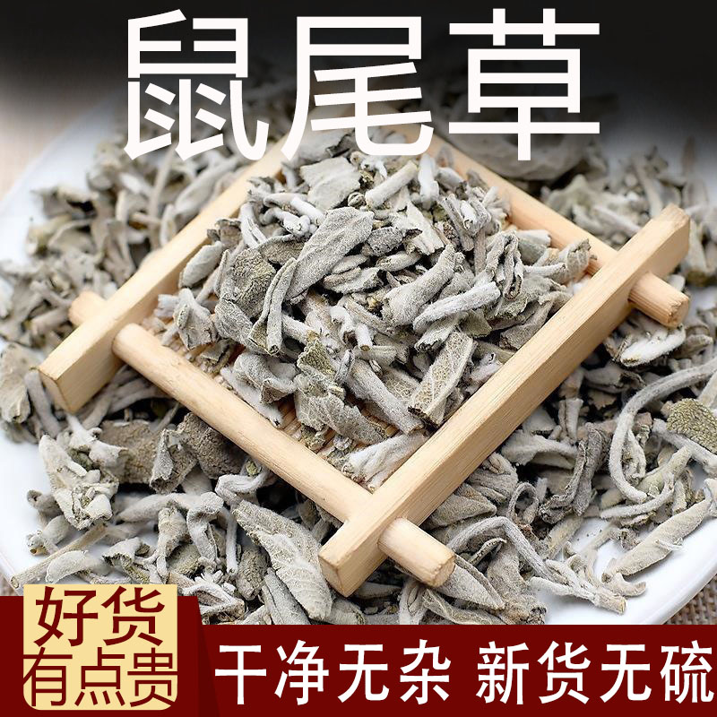 鼠尾草中药材500克洋苏草 普