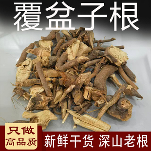 覆盆子根中药材刺泡根托莫根掌叶覆盆插田泡树莓根搁公扭根托木根