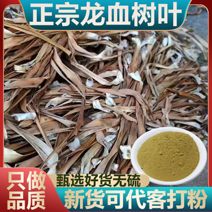 龙血树叶正品新货无硫中药材云南马骡蔗树竹木参狭叶龙血树叶粉