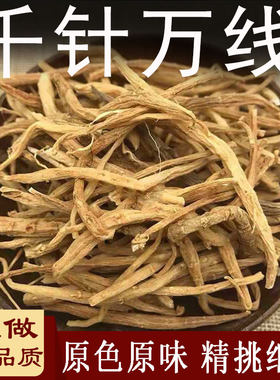 雾之兰中国大陆千针万线