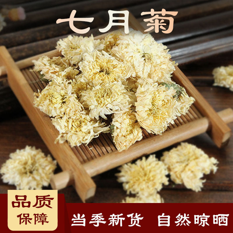 七月菊 养生花茶  250克  蓝菊 江西腊 五月菊