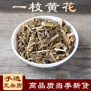 一枝黄花500g半枝香一只黄花一支黄花山边半枝香洒金花朝天一柱香