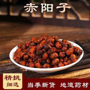中药材赤阳子火棘果 火棘子 火把果 救兵粮 救军粮 500克