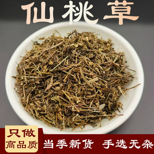 仙桃草中药材水蓑衣英桃草小头红蟠桃草接骨仙桃接骨草小伤力草