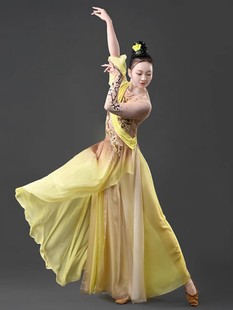 桃李杯古典舞寒依疏影舞蹈服装飘逸演出服女表演艺考剧目中国舞