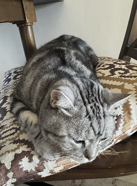 在途 红血丝的拍这里