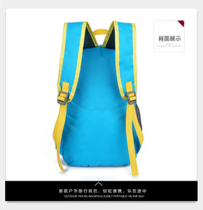 鹏威 折叠背包超轻防水双肩包 皮肤包双肩女男轻便户外旅行登山包