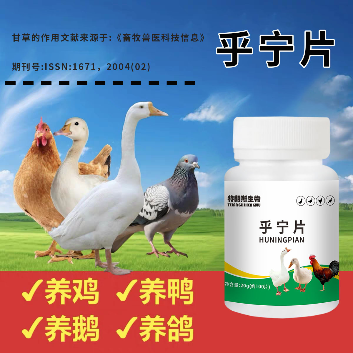 乎宁片鸡鸭鹅呼吸道呼噜呆立精神不振家庭养殖常备100片/瓶