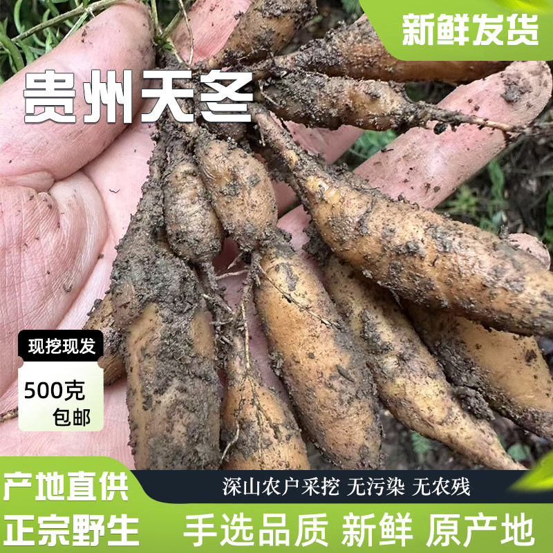 贵州深山野天冬500g新鲜农家现挖天然中药材正品无硫包邮泡酒煲汤
