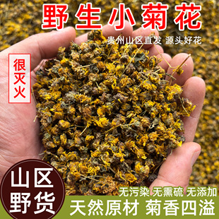 正宗野生野菊花茶贵州深山野采胎菊干货无硫新货头茬菊花清热泡水