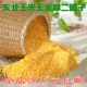 东北小碴子苞米碴子二碴子 包邮 玉米碜 杂粮250g一袋满19元