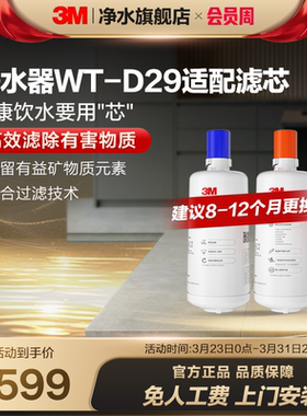 3M家用直饮净水器WT-D29型原装替换滤芯双子2000/WT-E20通用滤芯